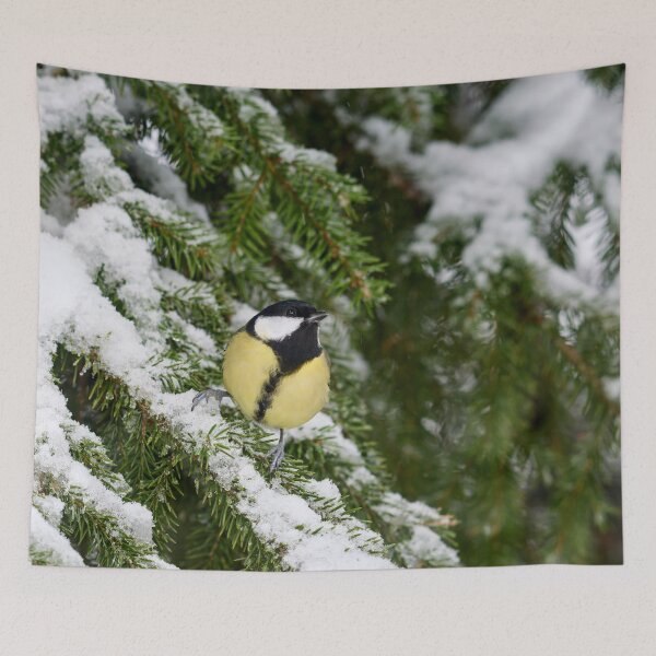 Item preview, Wintertit. Great tit 2025 designed and sold by Jouko Lehto Photography.