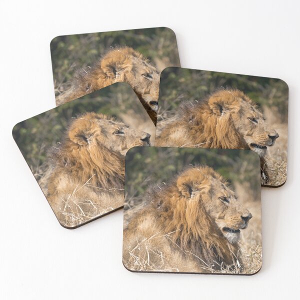Item preview, Modise Lone Warrior Lion Profile designed and sold by DavideAntoniani.