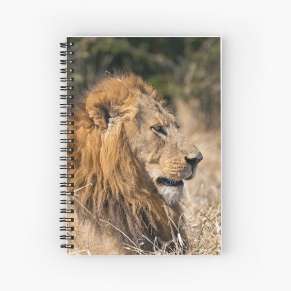 Item preview, Modise Lone Warrior Lion Profile designed and sold by DavideAntoniani.