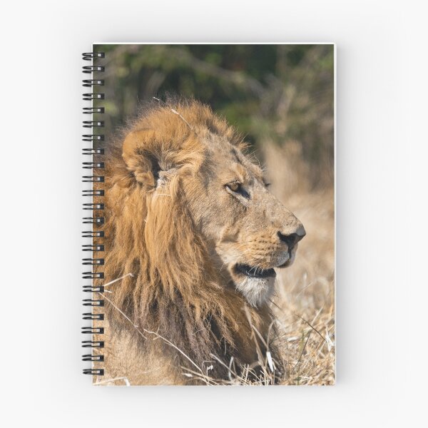 Item preview, Modise Lone Warrior Lion Profile designed and sold by DavideAntoniani.