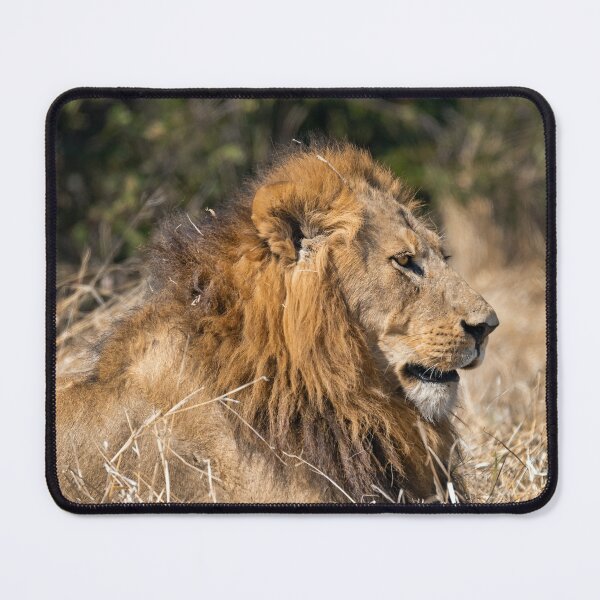 Item preview, Modise Lone Warrior Lion Profile designed and sold by DavideAntoniani.