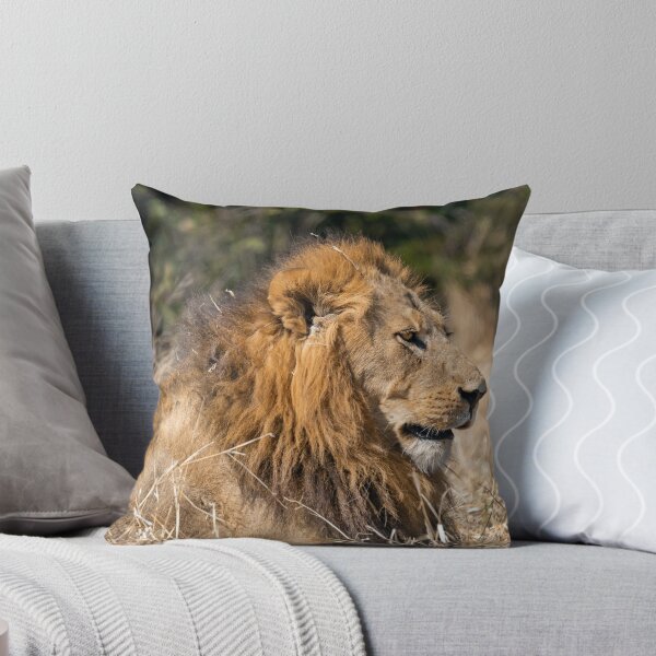 Item preview, Modise Lone Warrior Lion Profile designed and sold by DavideAntoniani.