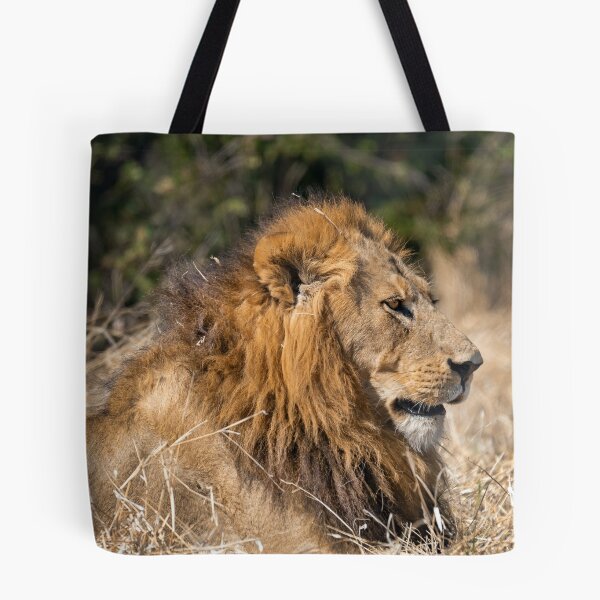 Item preview, Modise Lone Warrior Lion Profile designed and sold by DavideAntoniani.