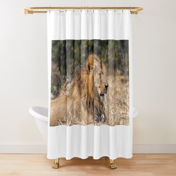 Item preview, Modise Lone Warrior Lion Profile designed and sold by DavideAntoniani.