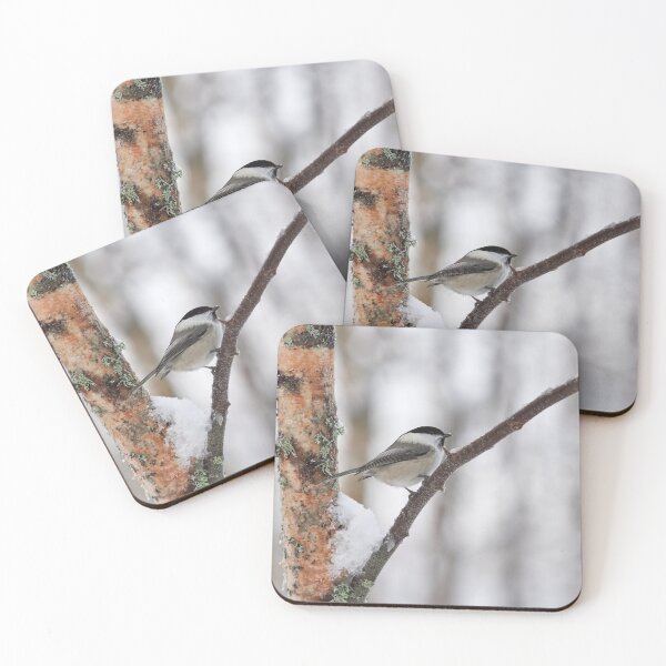 Item preview, Willow tit with some fresh snow designed and sold by Jouko Lehto Photography.