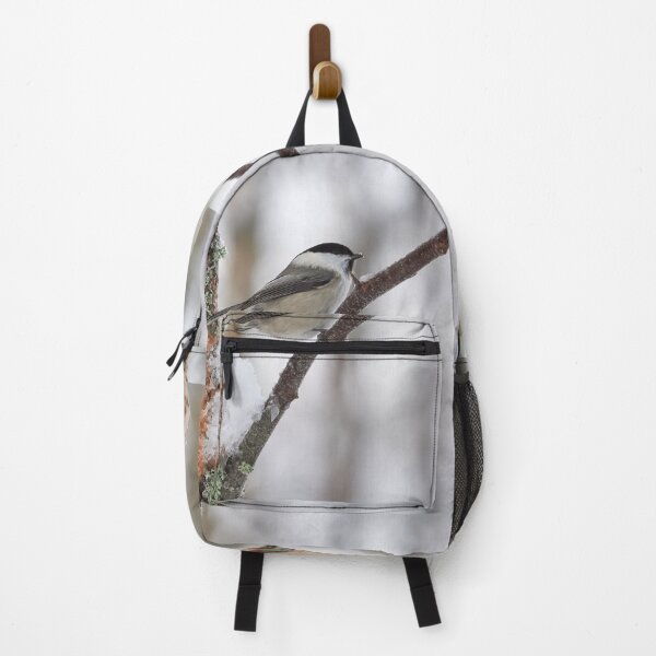 Item preview, Willow tit with some fresh snow designed and sold by Jouko Lehto Photography.