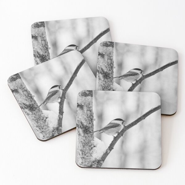 Item preview, Willow tit with some fresh snow bw designed and sold by Jouko Lehto Photography.
