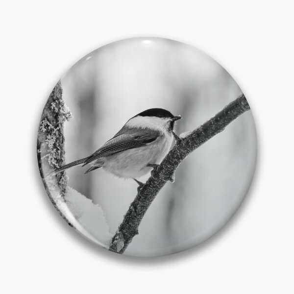 Item preview, Willow tit with some fresh snow bw designed and sold by Jouko Lehto Photography.