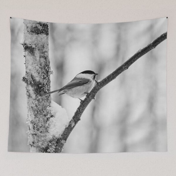 Item preview, Willow tit with some fresh snow bw designed and sold by Jouko Lehto Photography.