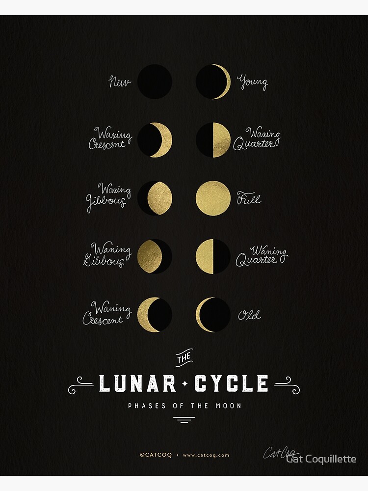 the-lunar-cycle-phases-of-the-moon-black-gold-palette-poster-by