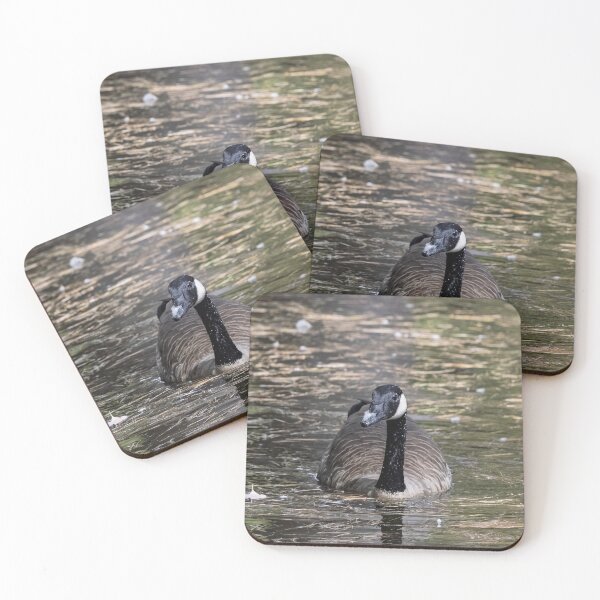 Item preview, Canadian Goose in Serene Waters designed and sold by Tim Dusenberry.