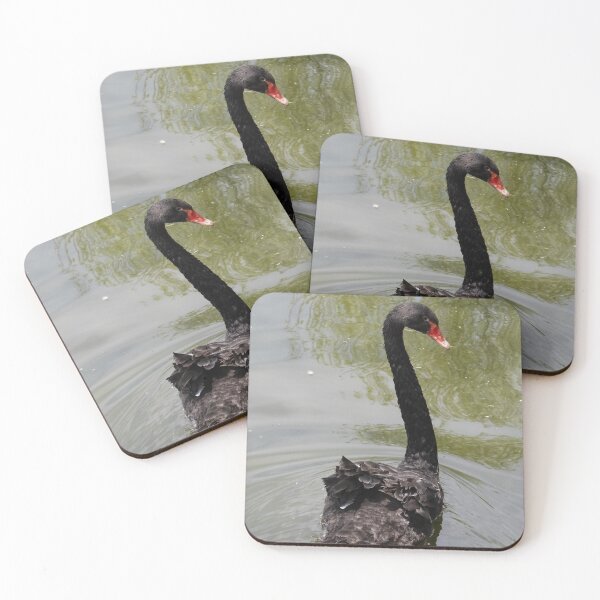 Item preview, Black Swan in Tranquil Pond designed and sold by Tim Dusenberry.