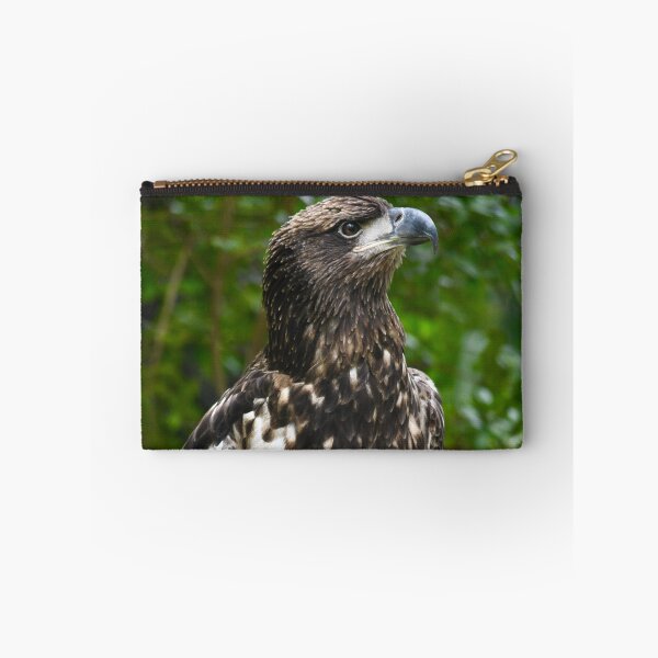 Item preview, Regal Immature American Bald Eagle designed and sold by richardbryce.
