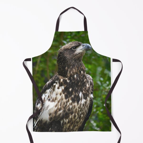 Item preview, Regal Immature American Bald Eagle designed and sold by richardbryce.