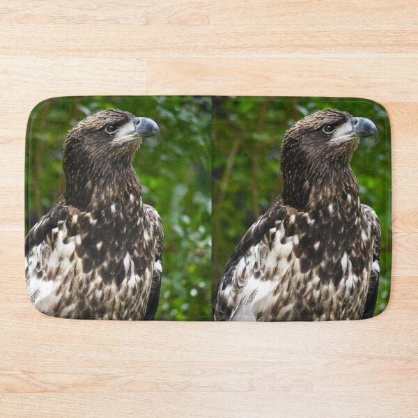 Item preview, Regal Immature American Bald Eagle designed and sold by richardbryce.