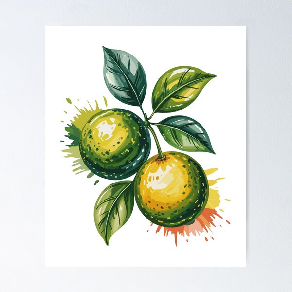 Item preview, Calamansi designed and sold by JessArty ⭐⭐⭐⭐⭐.