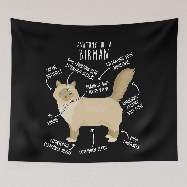 Item preview, Cream Point Birman Cat Anatomy designed and sold by Clara Hollins.
