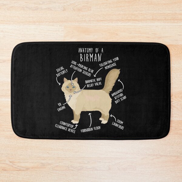 Item preview, Cream Point Birman Cat Anatomy designed and sold by Clara Hollins.