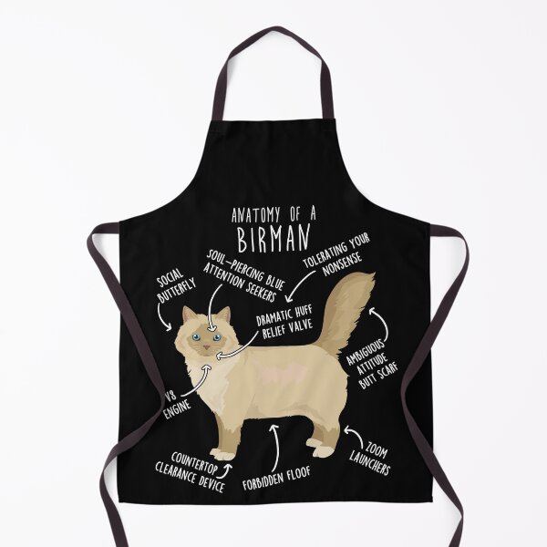 Item preview, Cream Point Birman Cat Anatomy designed and sold by Clara Hollins.