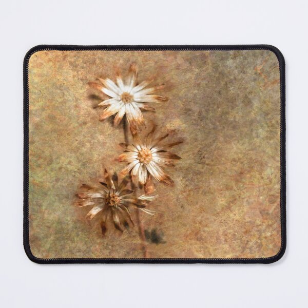 Item preview, Winter aster still life designed and sold by KRFNatureGifts.