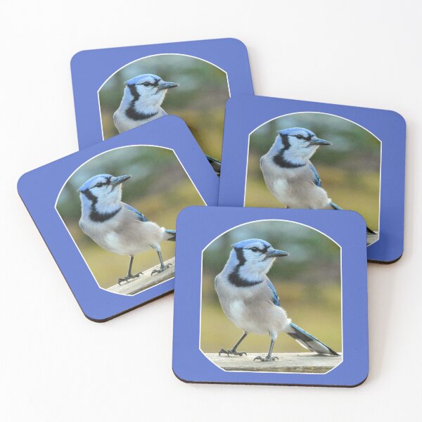 Artikelvorschau, Blue Jay entworfen und verkauft von MLJM_Photography.