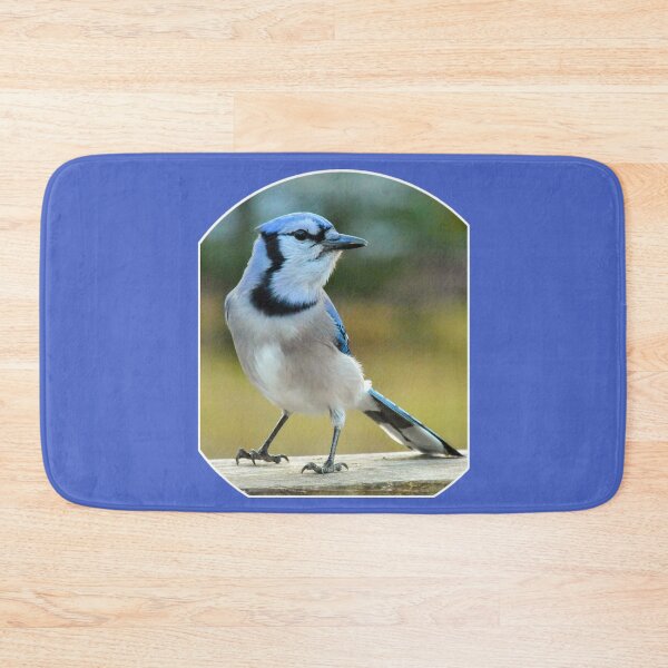 Item preview, Blue Jay designed and sold by MLJM_Photography.