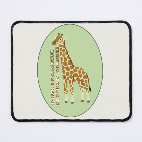 Item preview, Giraffe - The Recurrent Laryngeal Nerve Evolution's Longest Detour - Atheist Animals  designed and sold by EvergreenRevolt.
