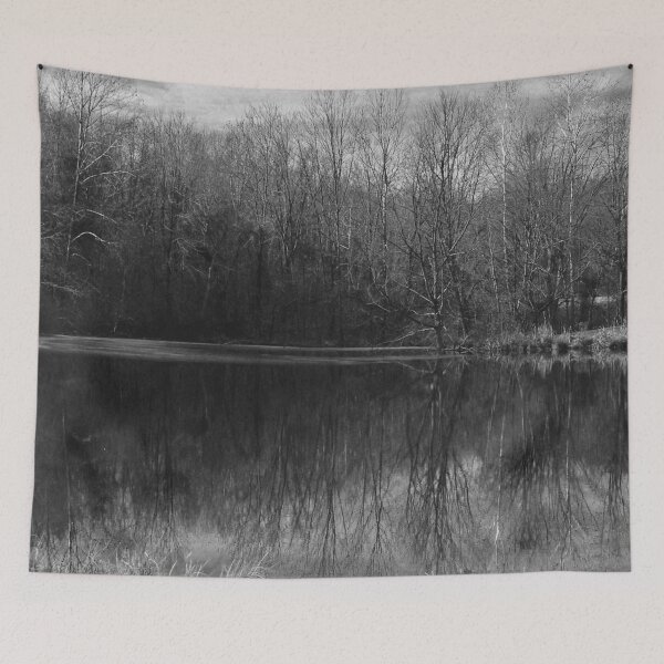 Item preview, Black Lake - Melancholy Forest Photograph designed and sold by Irene Estelle.