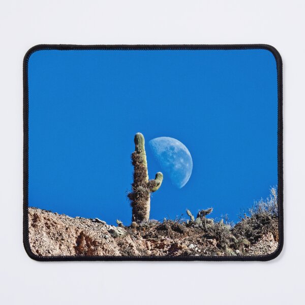 Item preview, Cactus and Crescent Moon - Jujuy Desert Argentina designed and sold by Keltoi-art.