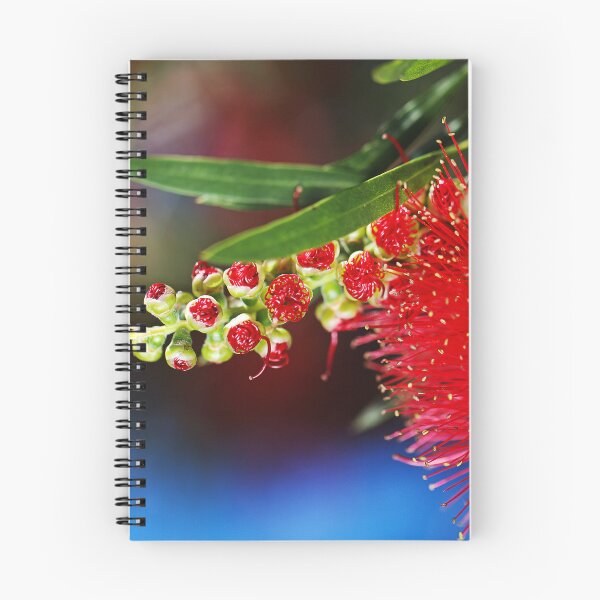 Item preview, Red With Green Bottlebrush Flower designed and sold by Joy Watson - Natural Light Photography .