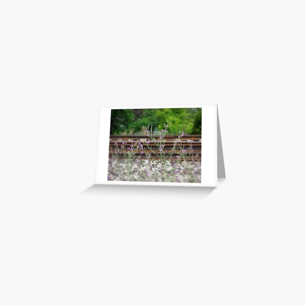 Life On Track Greeting Card