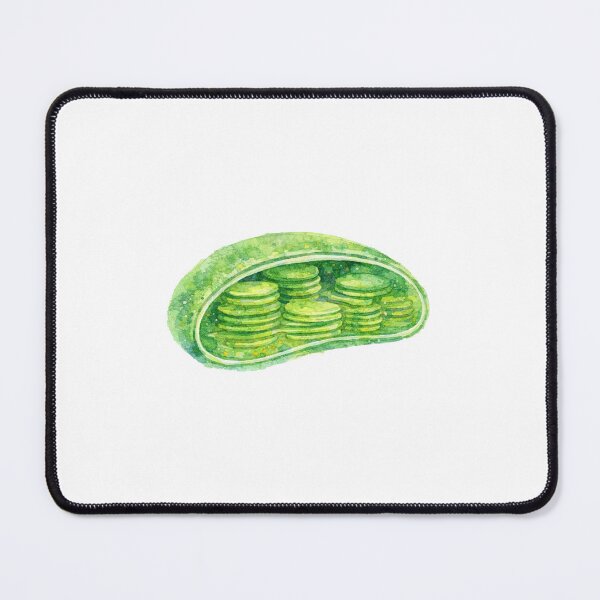 Item preview, Watercolor Chloroplast Organelle designed and sold by Ameus.