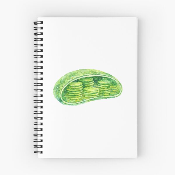 Item preview, Watercolor Chloroplast Organelle designed and sold by Ameus.