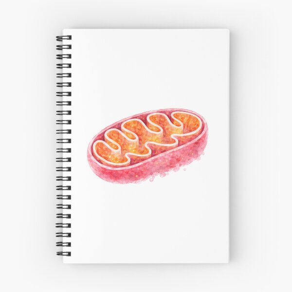 Item preview, Watercolor mitochondria designed and sold by Ameus.