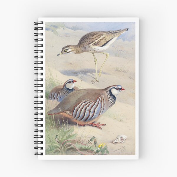 Item preview, Archibald Thorburn: A Stone Curlew and a Pair of French Partridge designed and sold by Tridentulus.
