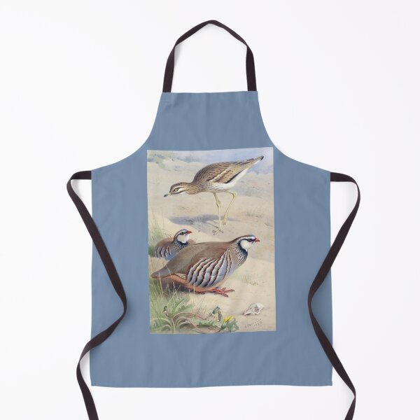 Item preview, Archibald Thorburn: A Stone Curlew and a Pair of French Partridge designed and sold by Tridentulus.