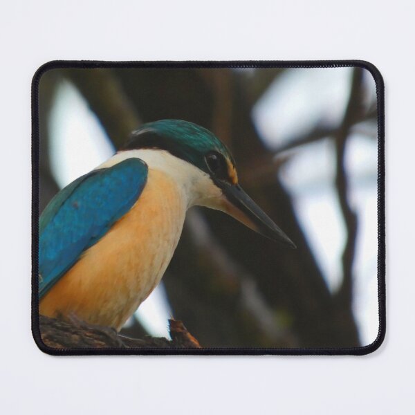 Item preview, Sacred Bee Eater designed and sold by Ray Doherty Author.