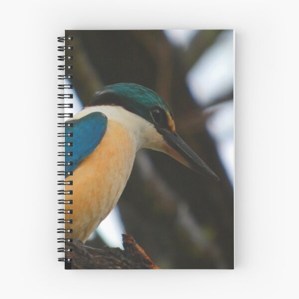 Item preview, Sacred Bee Eater designed and sold by Ray Doherty Author.