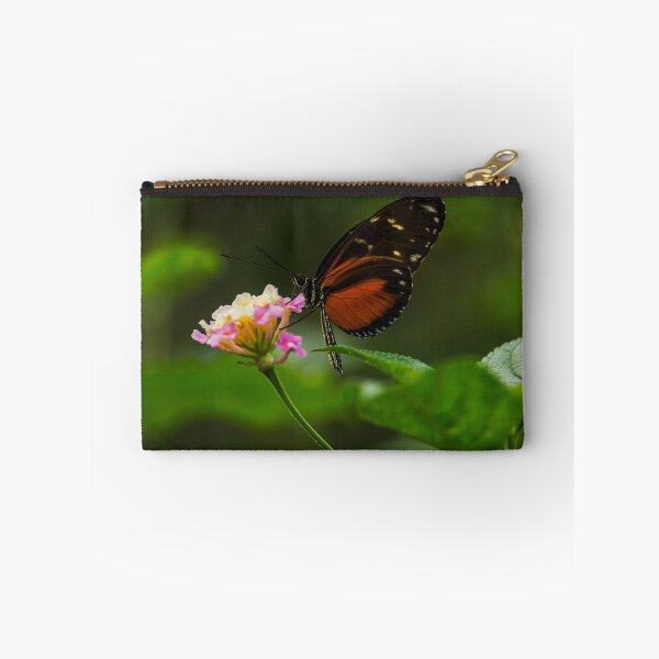 Item preview, Heliconius Doris Butterfly designed and sold by ffpdsgn.