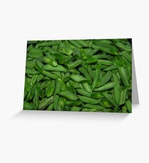 Beans Greeting Card