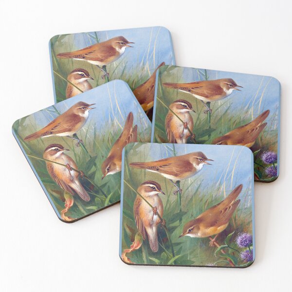 Item preview, Archibald Thorburn: Sedge Warbler, Reed Warbler, March Warbler designed and sold by Tridentulus.