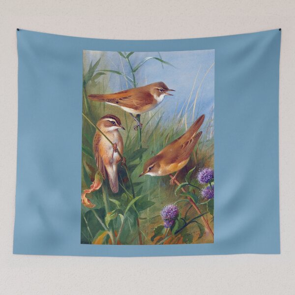 Item preview, Archibald Thorburn: Sedge Warbler, Reed Warbler, March Warbler designed and sold by Tridentulus.