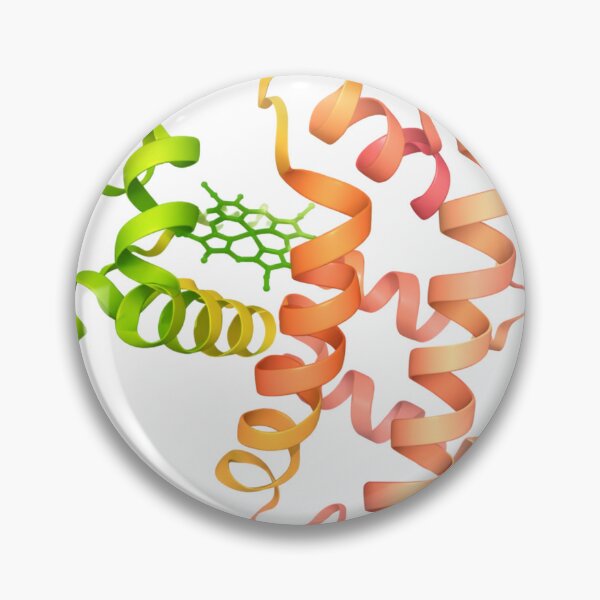 Item preview, Myoglobin protein structure designed and sold by Ameus.