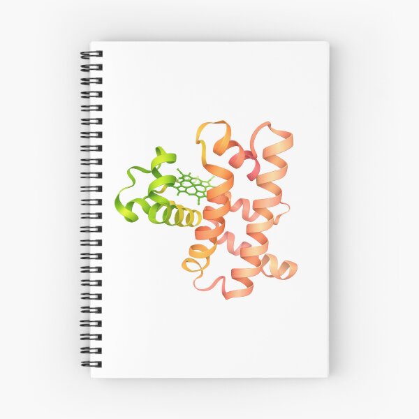 Item preview, Myoglobin protein structure designed and sold by Ameus.