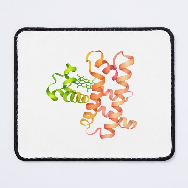 Item preview, Myoglobin protein structure designed and sold by Ameus.