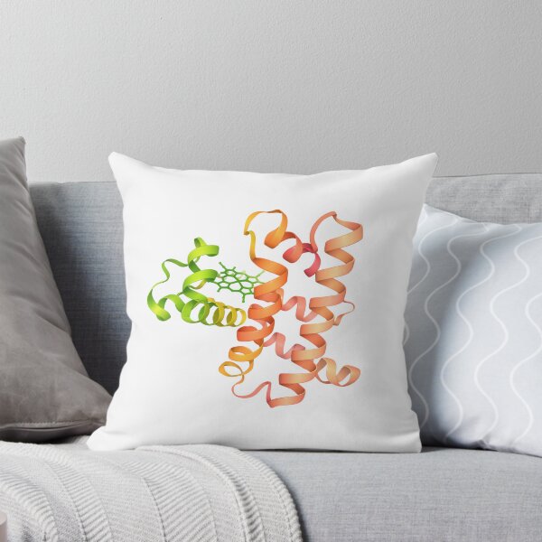 Item preview, Myoglobin protein structure designed and sold by Ameus.