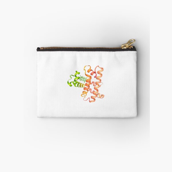 Item preview, Myoglobin protein structure designed and sold by Ameus.