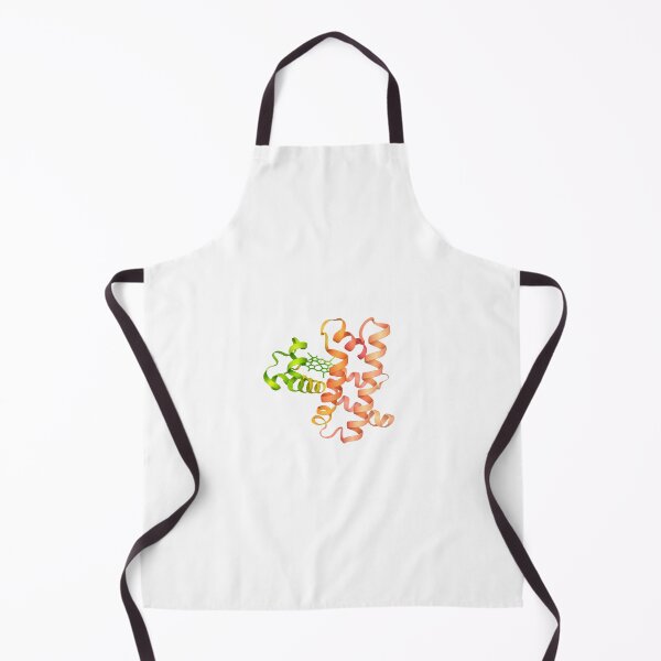 Item preview, Myoglobin protein structure designed and sold by Ameus.
