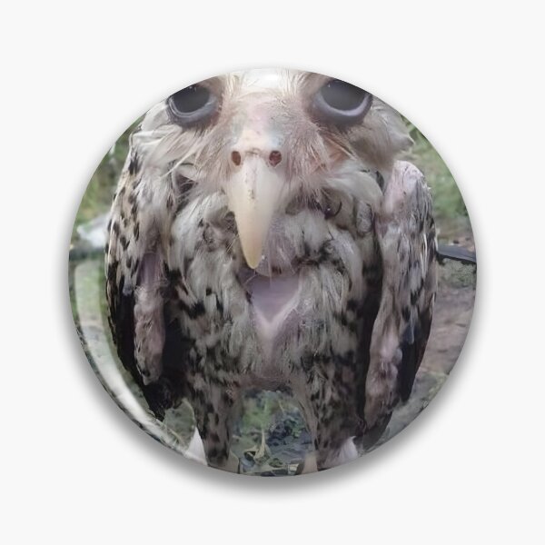 Item preview, Lamont (Wet Owl Meme) designed and sold by meadow6661.