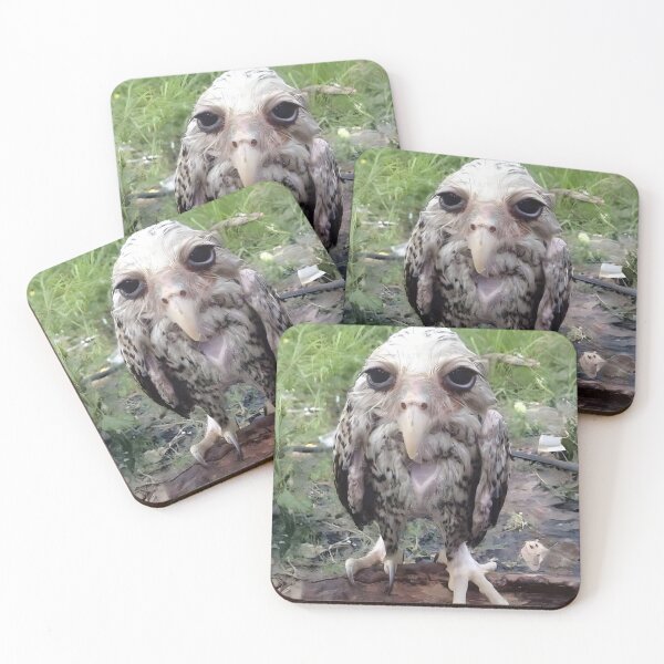 Item preview, Lamont (Wet Owl Meme) designed and sold by meadow6661.